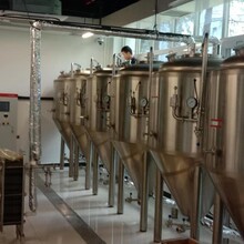 匠心釀造，品味非凡 山東德朗機(jī)械制造引領(lǐng)自釀啤酒設(shè)備新潮流