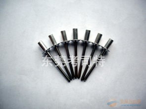 一站式采購圓頭雙鼓拉鉚釘?shù)染o固件，盡在東莞考司特公司